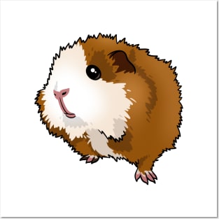 Tilty the guinea pig Posters and Art